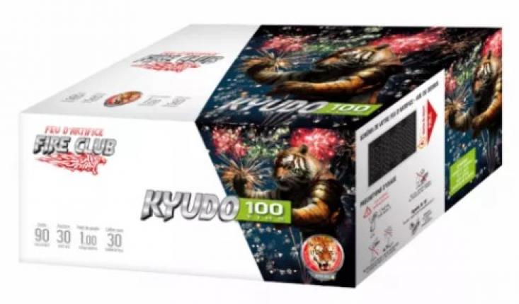 Feu automatique Pyragric Kyudo 100 coups disponible en magasin !