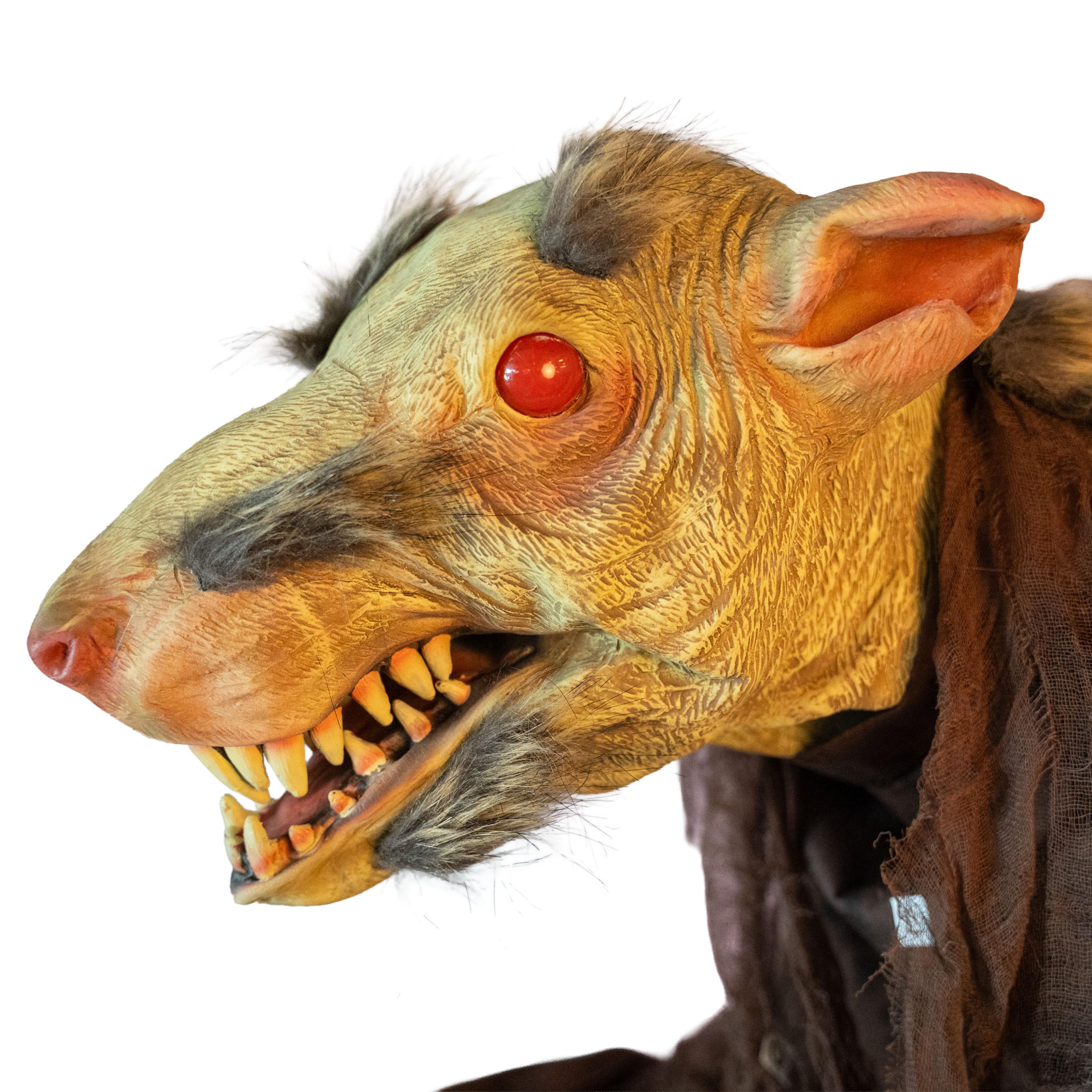 Animatronic rat mutant des égouts maitre Splinter 155cm