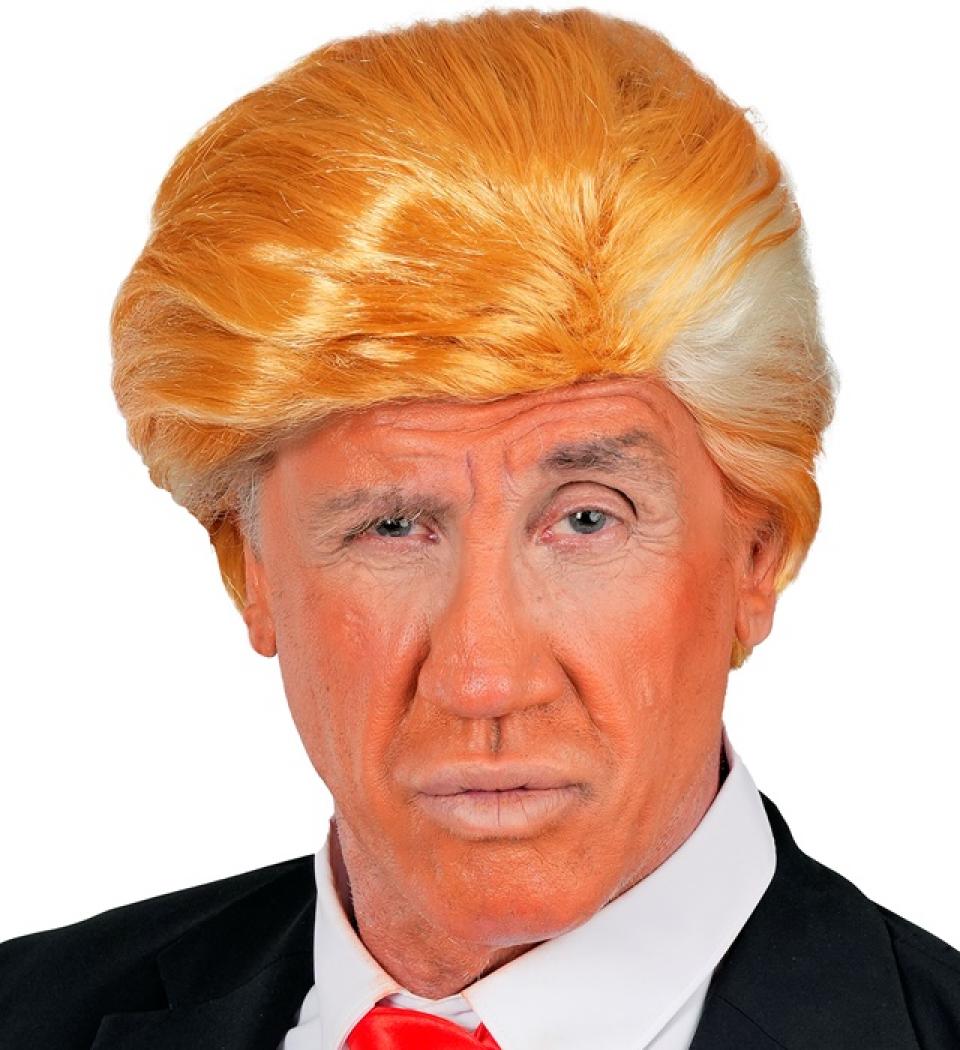 Perruque Président des Etats Unis