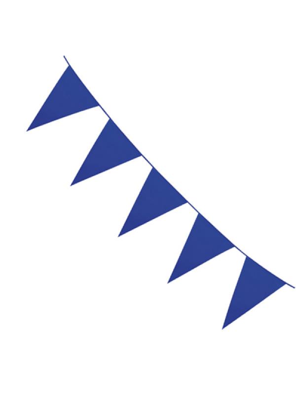 Guirlande fanions 10m bleue