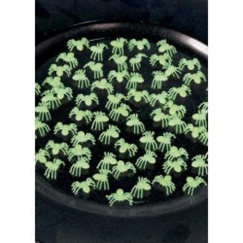 sachet de 70 araignées phosporescentes