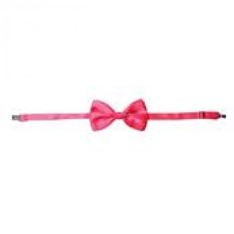 Noeud papillon rose fluo