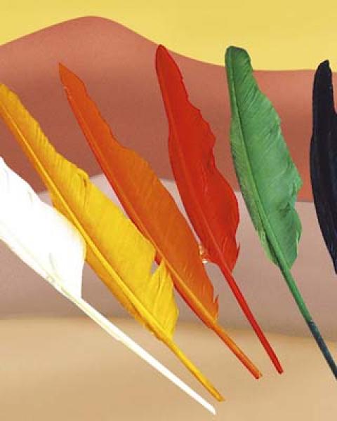 Plume indien couleur