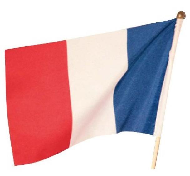 50 drapeaux France 14X21 cm