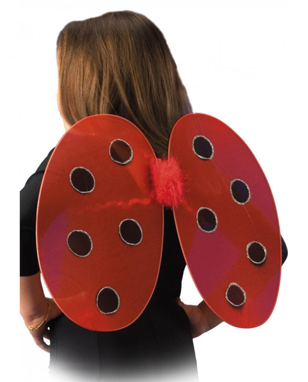 Ailes coccinelle 