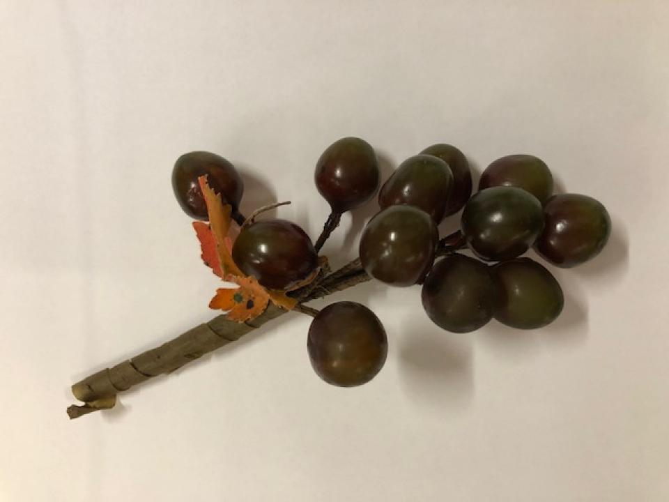 Grappe de raisin réaliste