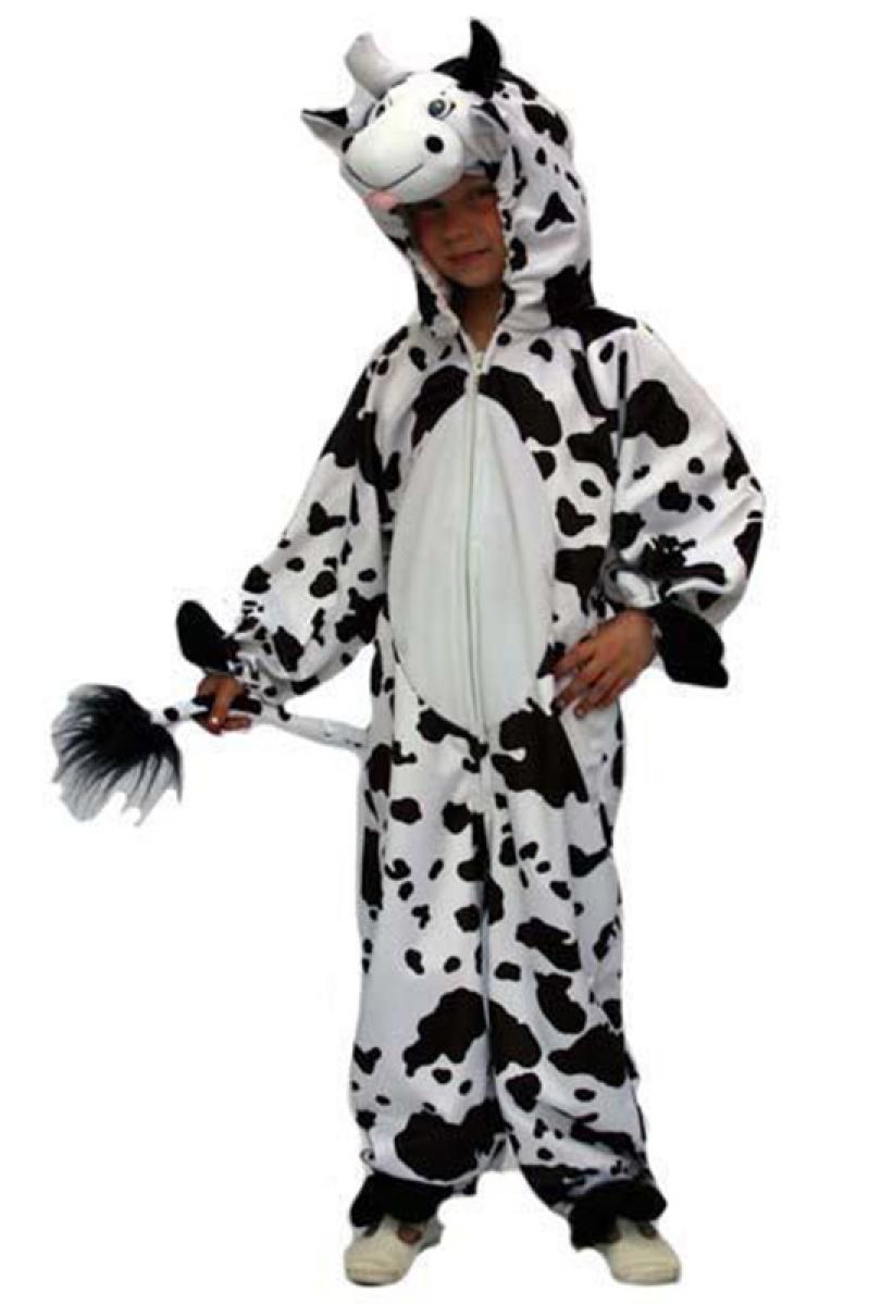 Vache 3/4 ans