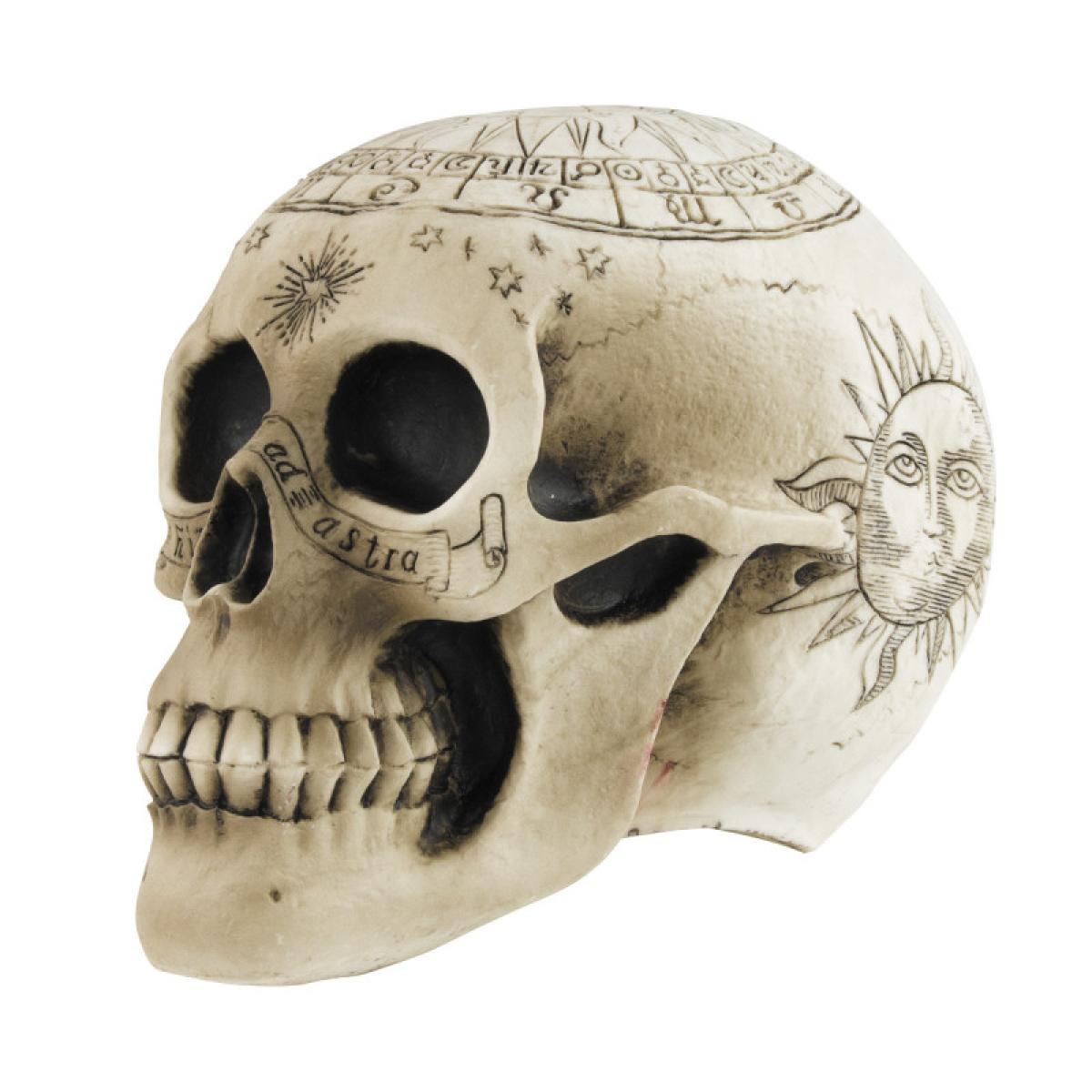 Crâne squelette pentagramme 18cm avec bougie led offerte