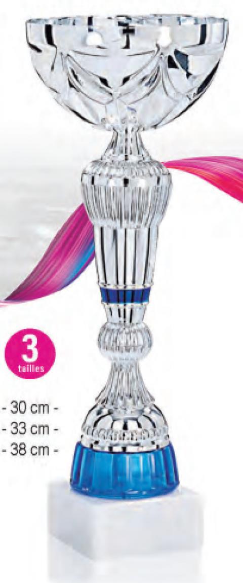 Lot de 30 coupes hauteur moyenne 33,7cm livré