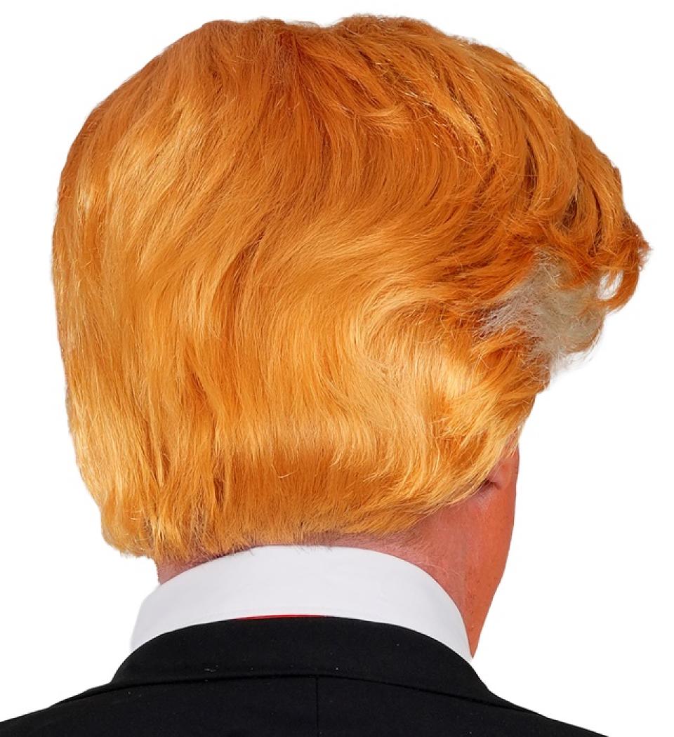 Perruque Président des Etats Unis