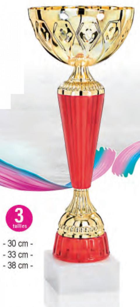 Lot de 30 coupes hauteur moyenne 33,7cm livré
