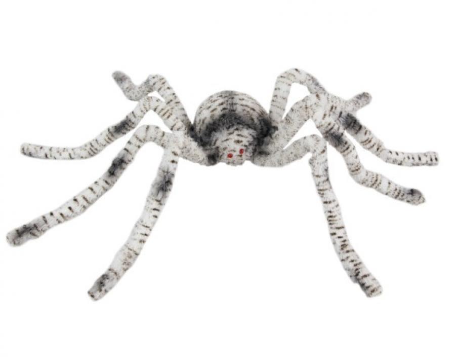Araignée tigrée poilue 90cm