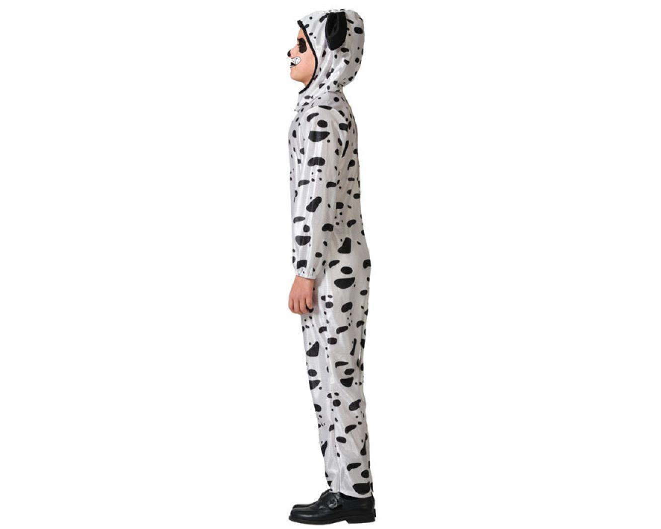 Chien dalmatien 5/6 ans