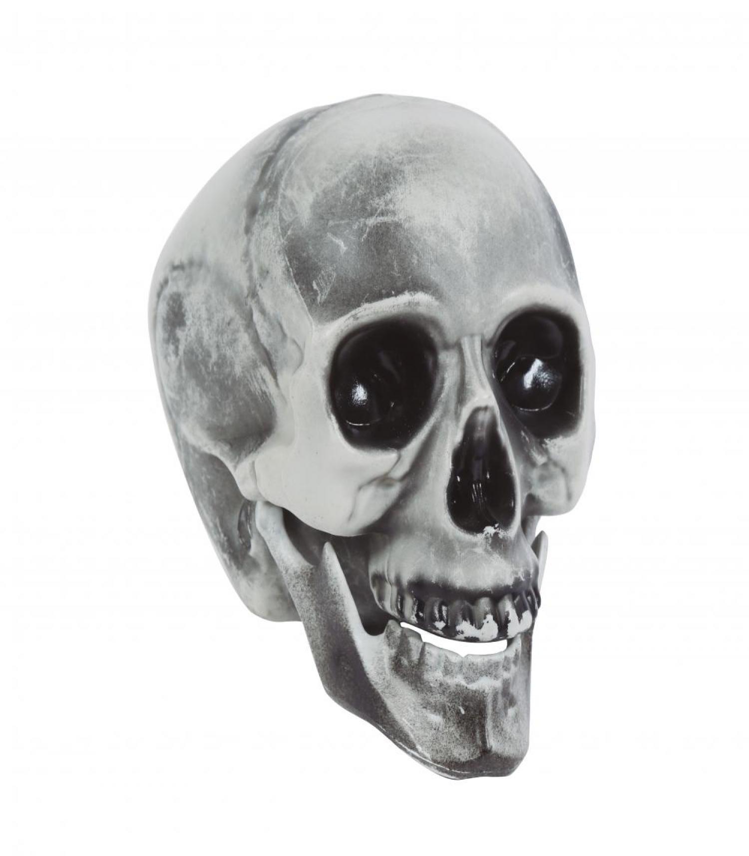 Crâne tête de mort 20 cm