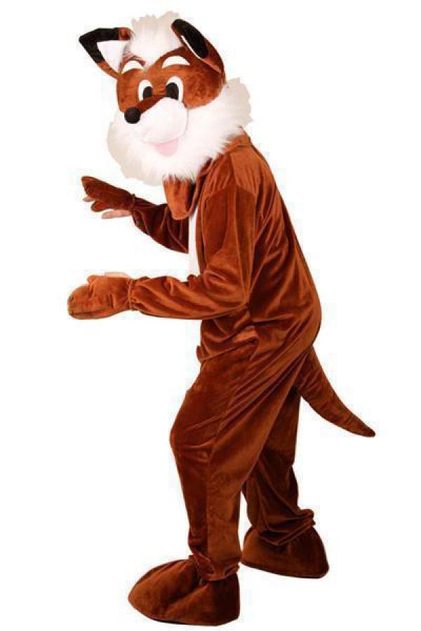 Renard à grosse tête