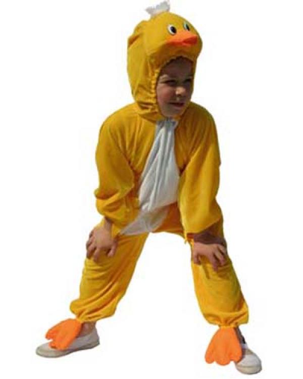 Canard 3/4 ans