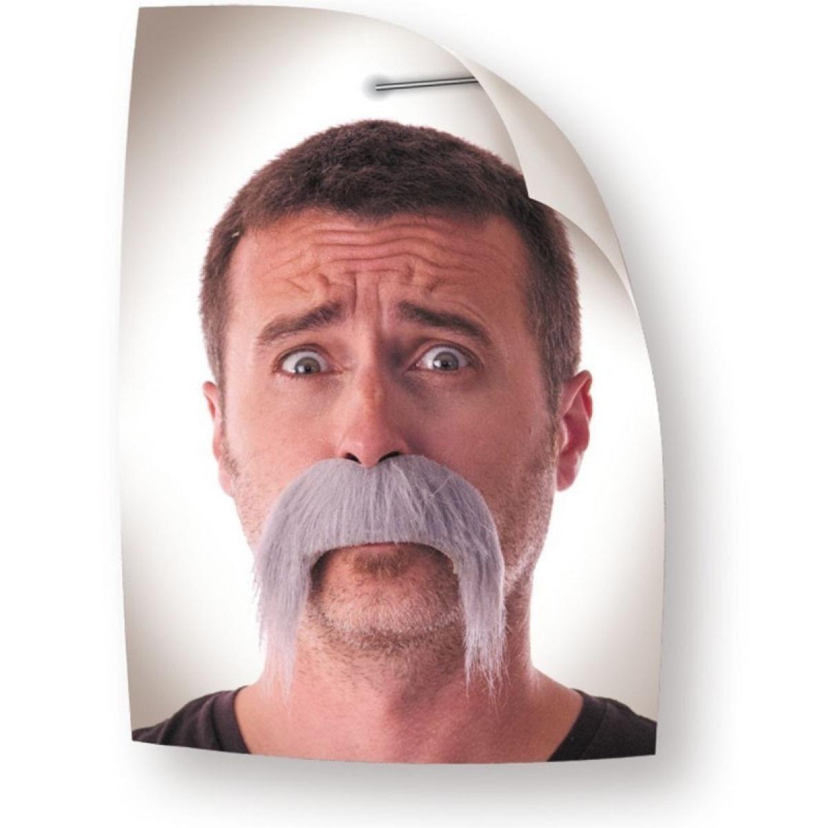 Moustaches grise
