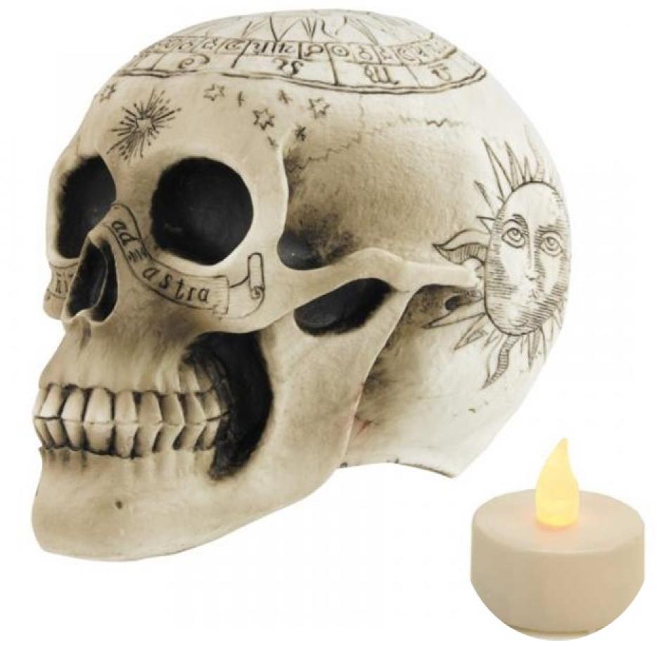 Crâne squelette pentagramme 18cm avec bougie led offerte