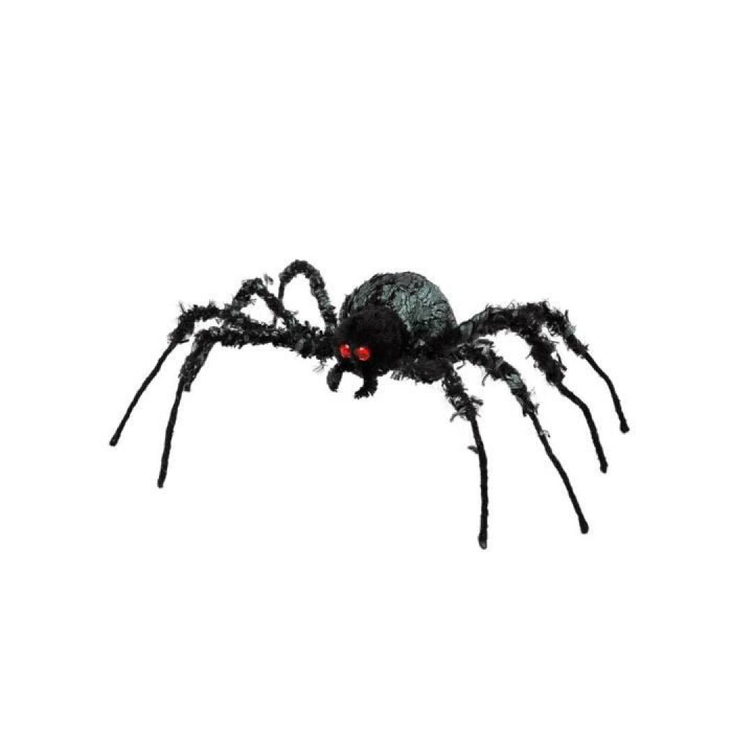 Araignée géante noire à poils 