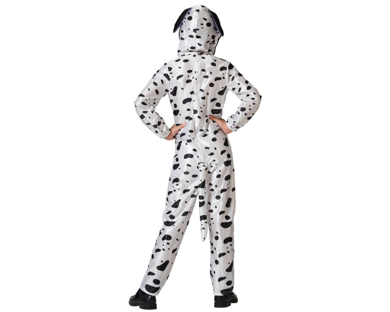 Chien dalmatien 5/6 ans