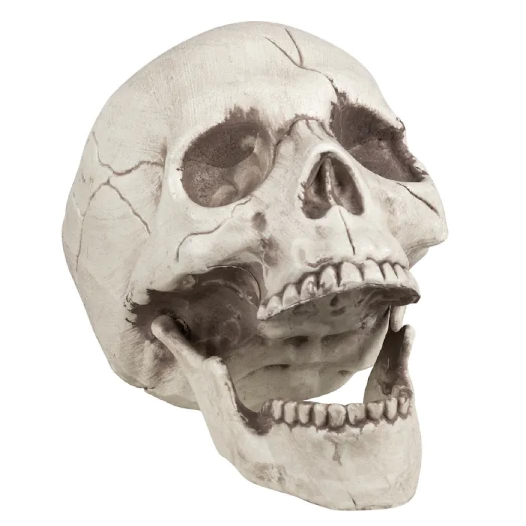 Crâne tête de mort 20 cm