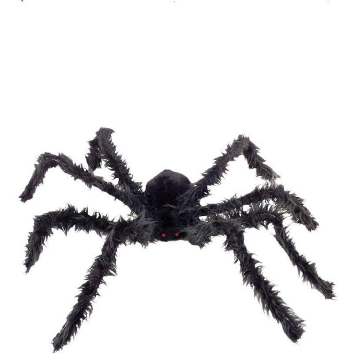 Araignée géante noire 60cm