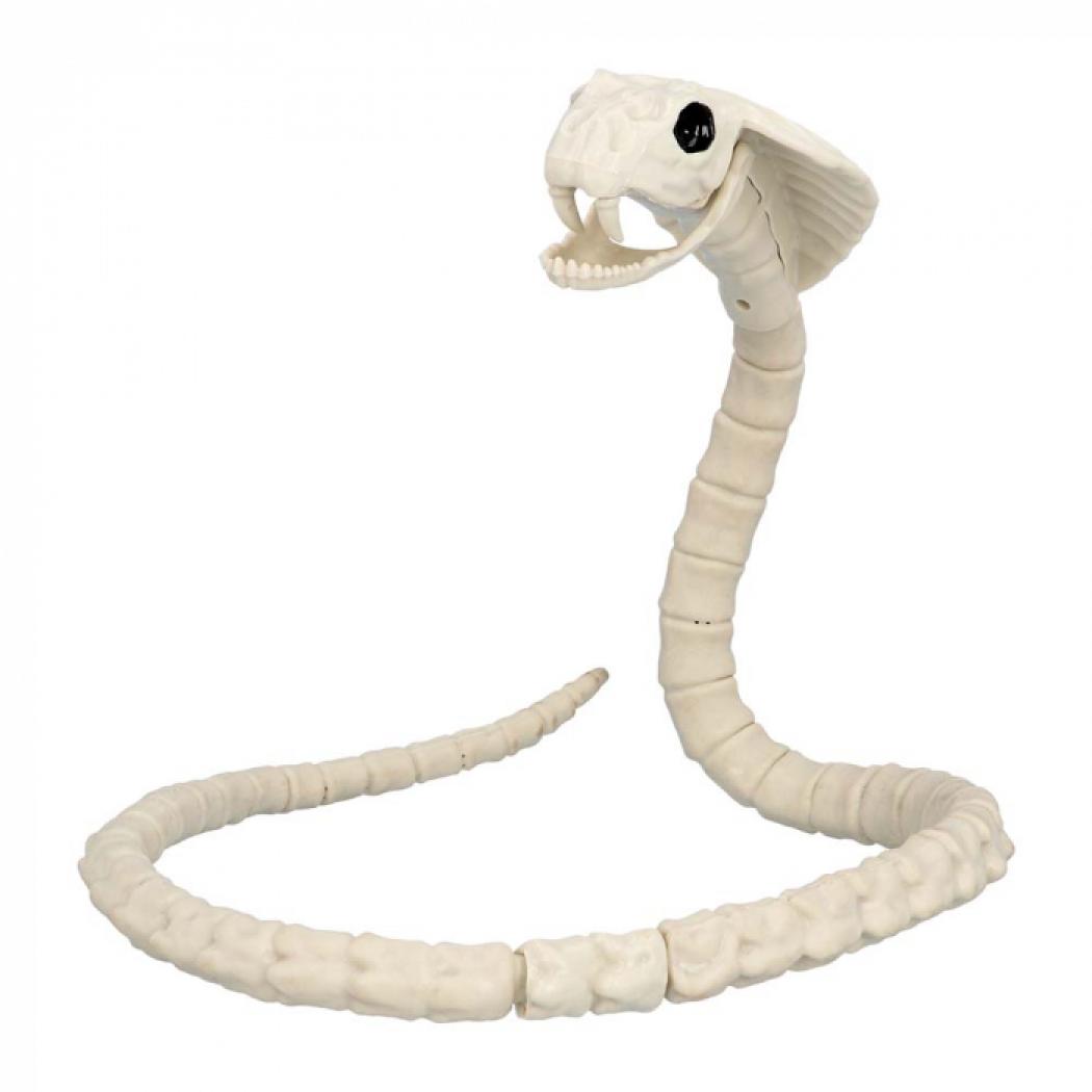 Squelette de serpent