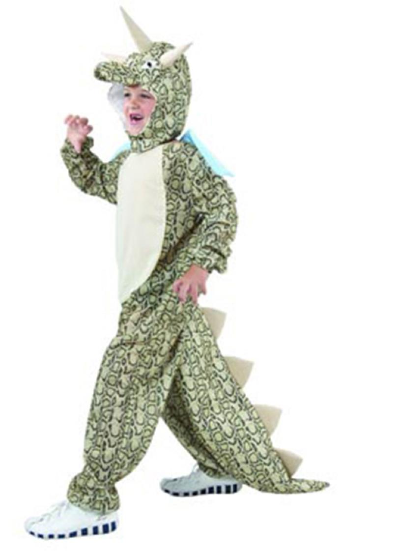 Dinosaure 4/6 ans