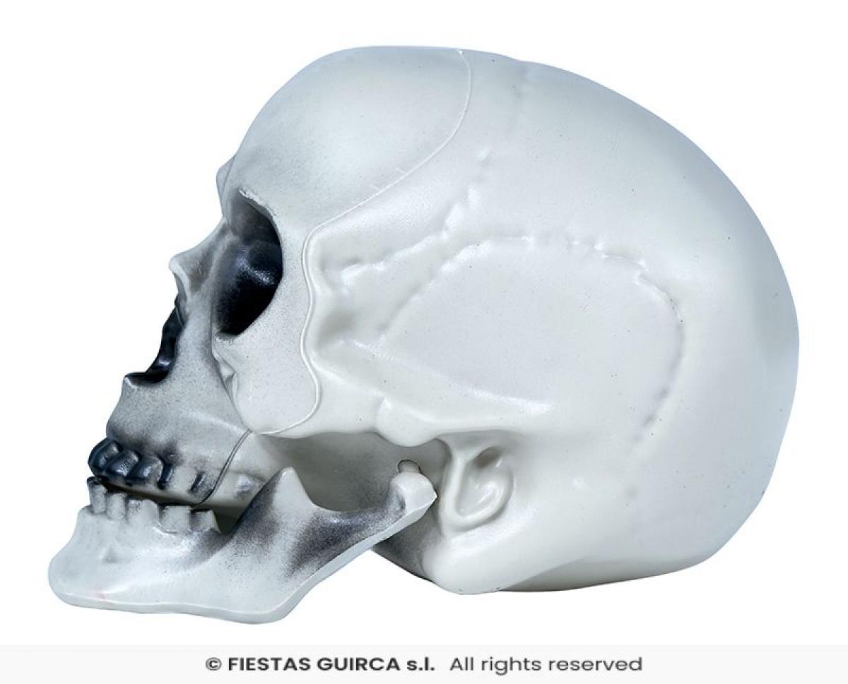 Crâne tête de mort 20 cm