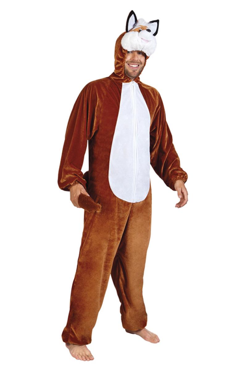 Renard taille M/L