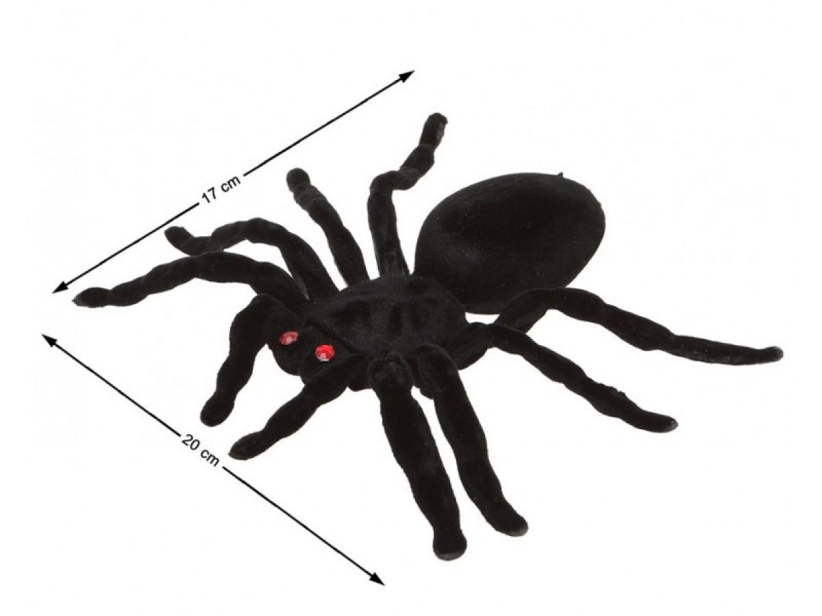 Araignée 20 cm