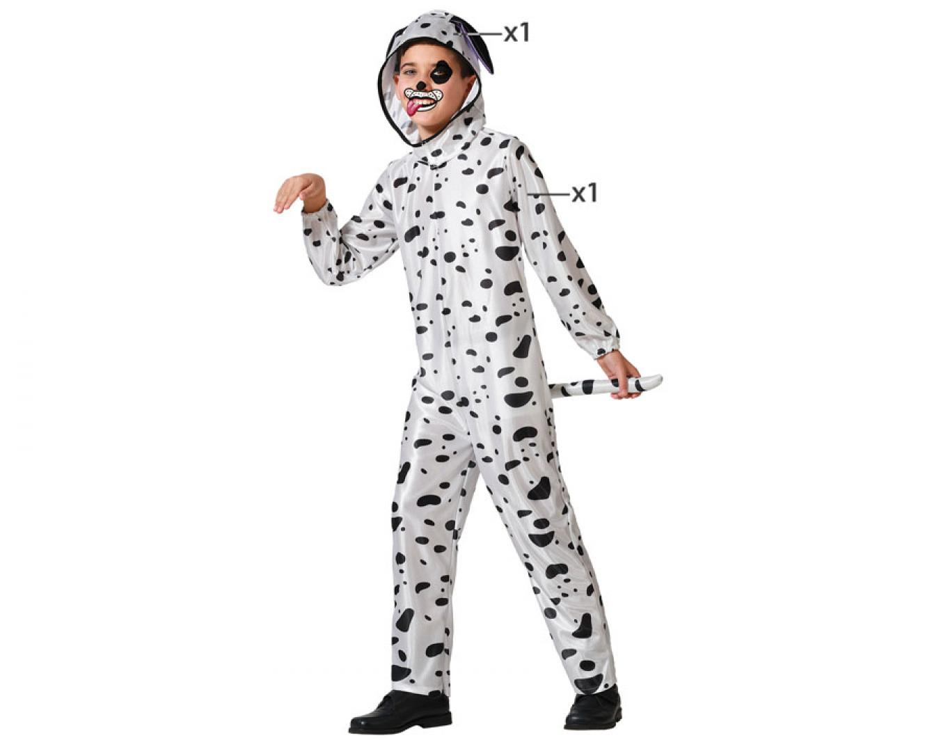 Chien dalmatien 7/9 ans