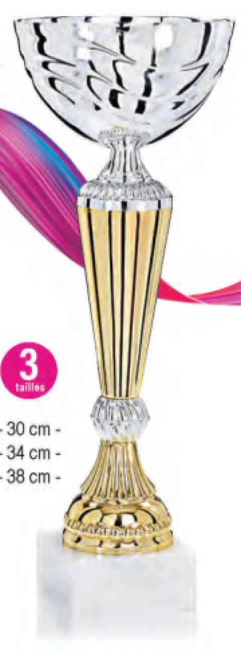 Lot de 30 coupes hauteur moyenne 33,7cm livré