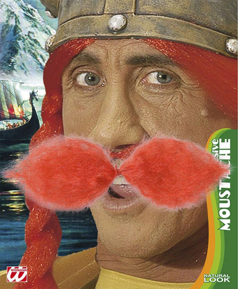 Moustaches gros gaulois roux