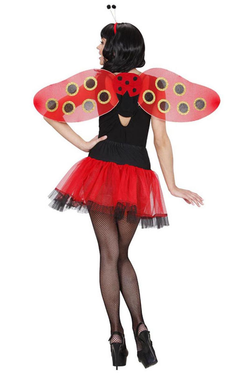 Set coccinelle adulte