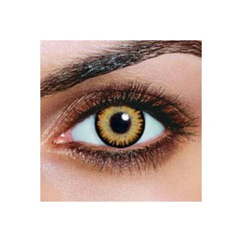 Lentilles couleur Brun