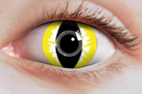 Paire de lentilles cosmétiques YELLOW CAT 3 mois