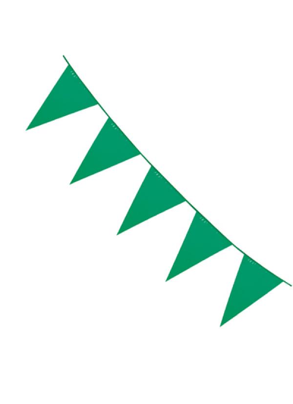 Guirlande fanions 10m verte
