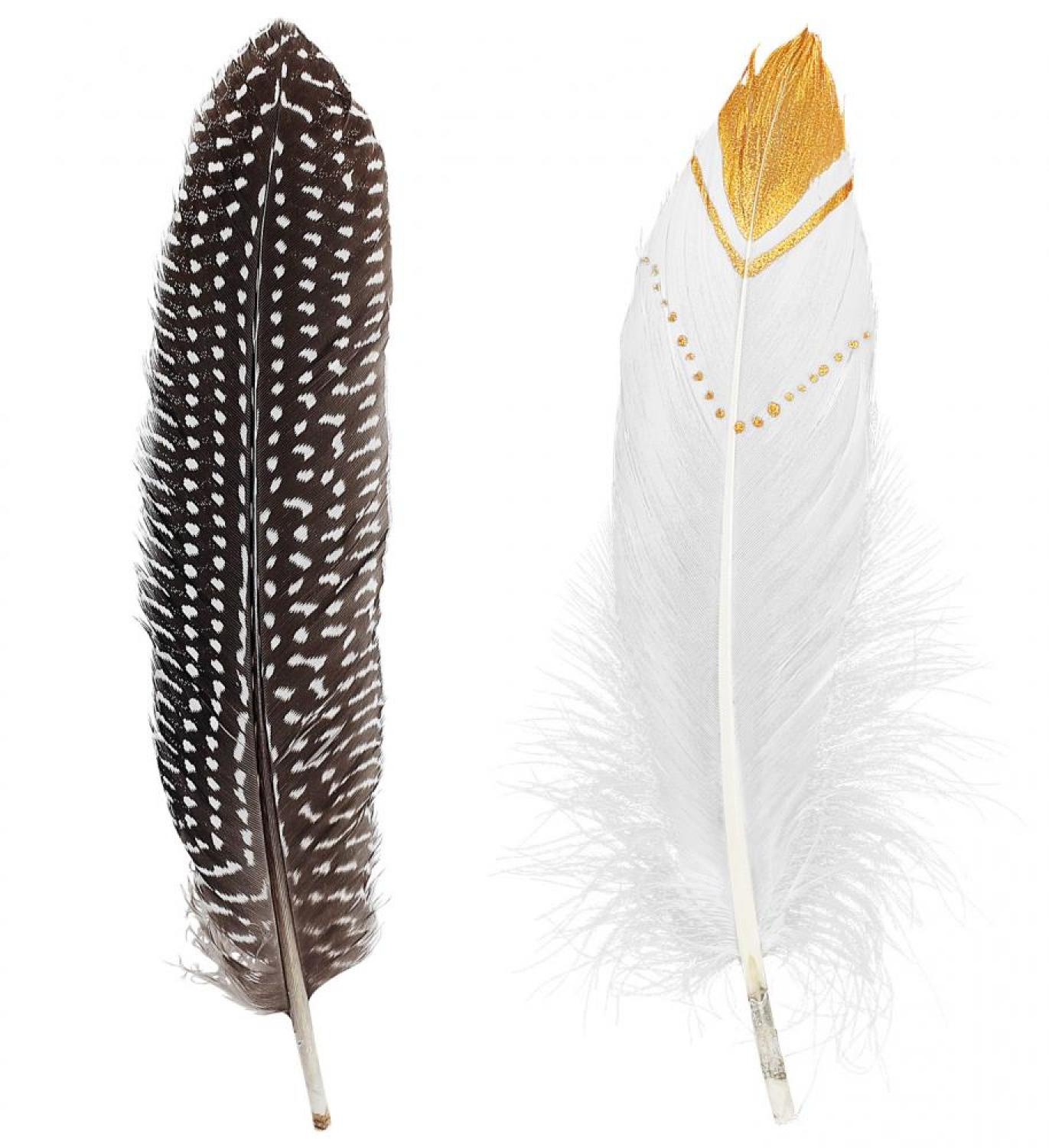 Plume indien rustique