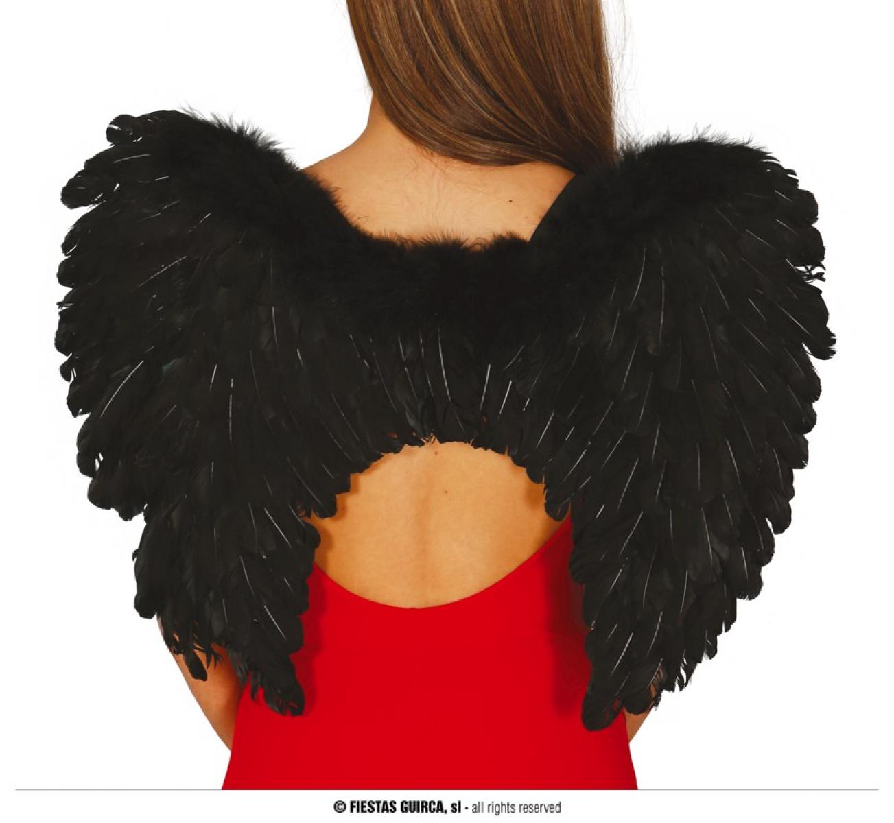 Ailes de démon plumes noires 50x40cm