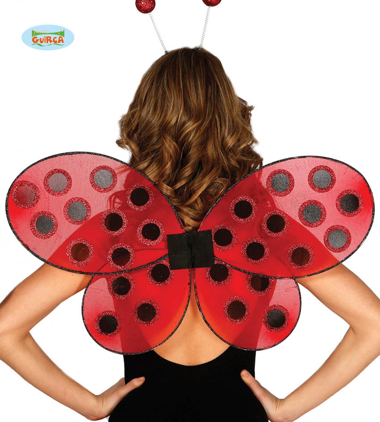 Ailes coccinelle 