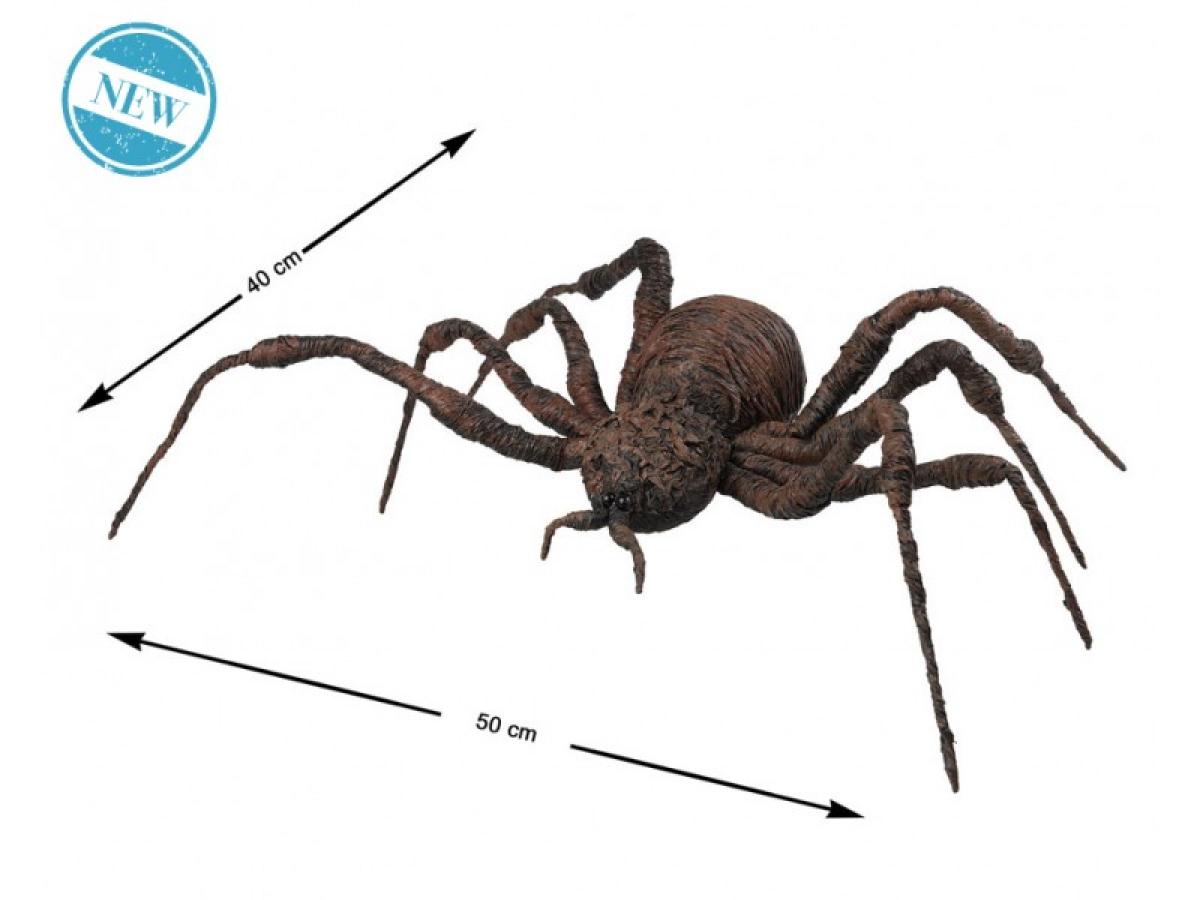 Araignée marron horrible 60x43cm