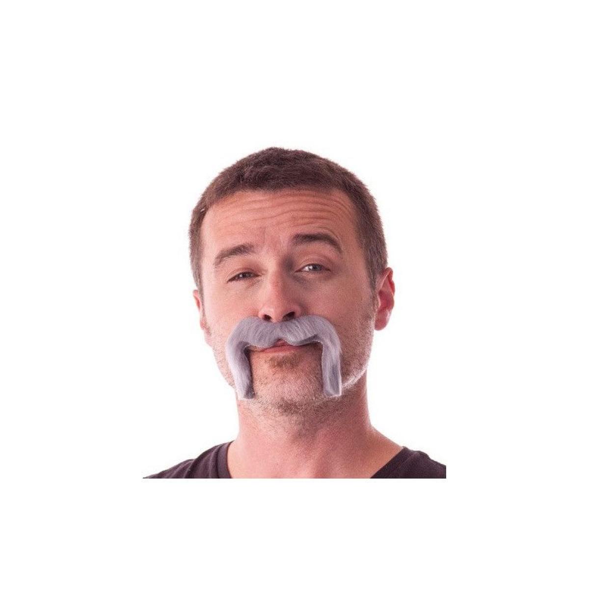 Moustaches grise