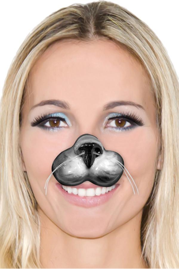 Nez de Chat