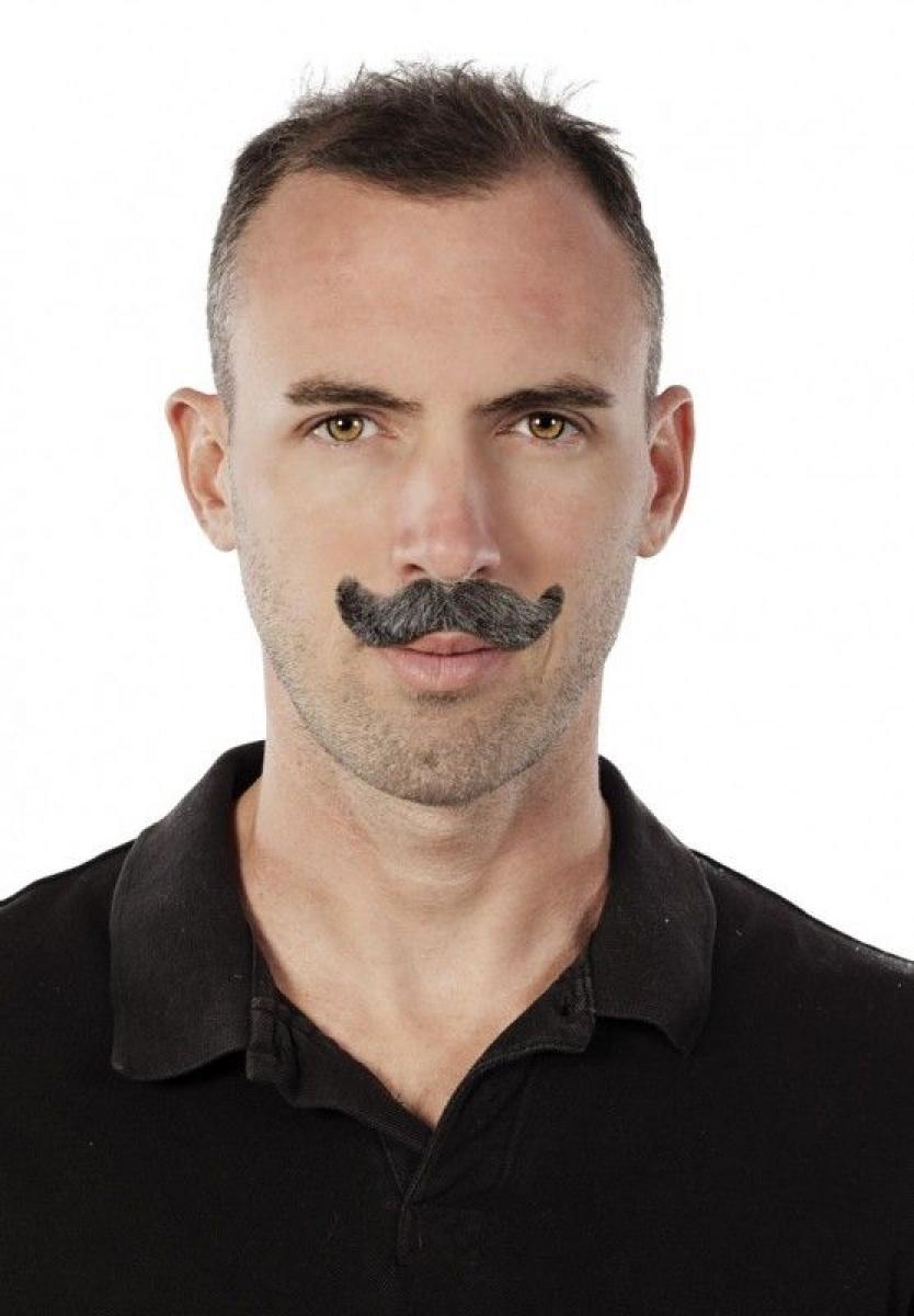 Moustaches grise
