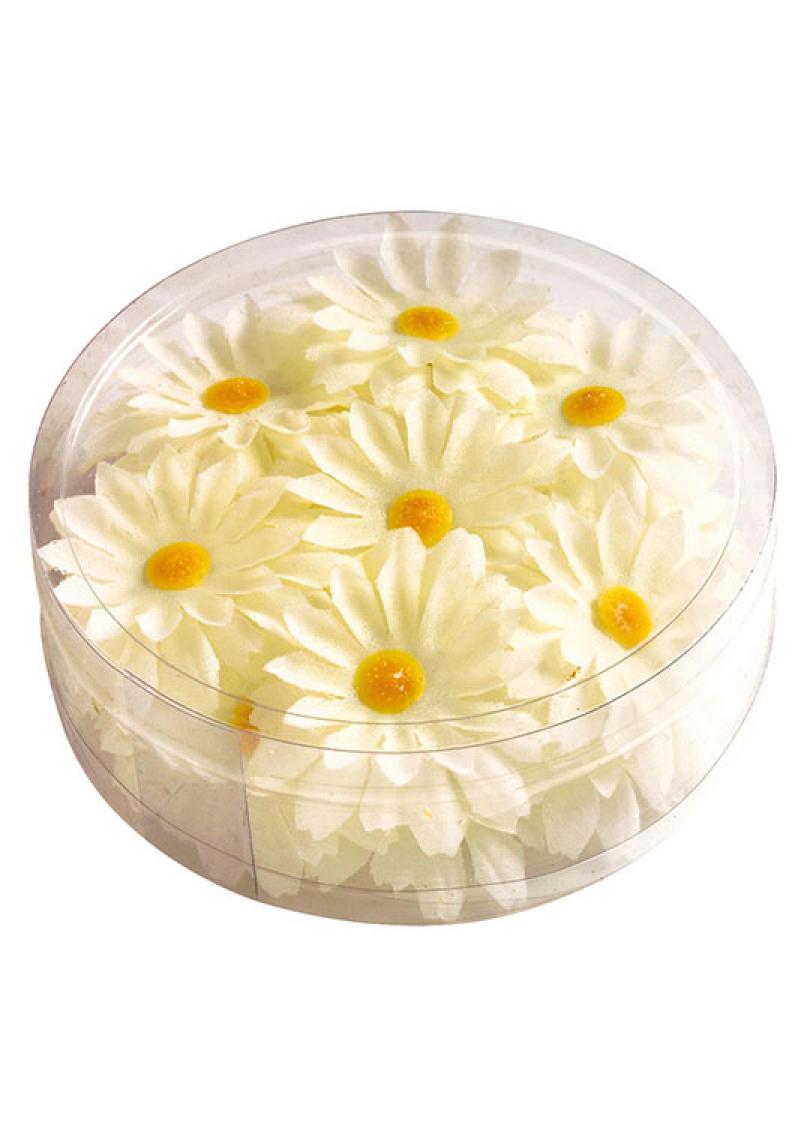 Marguerites de decoration blanches