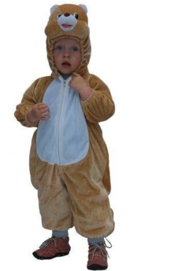 Ours 1/2 ans