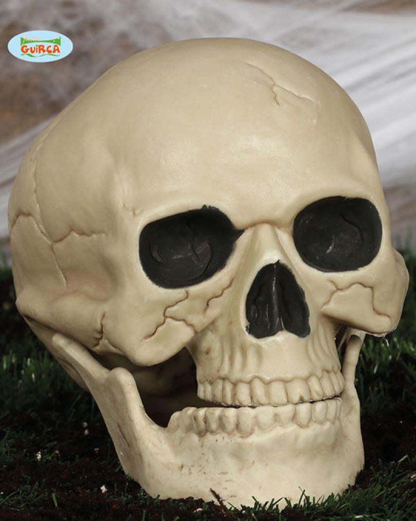 Tete de mort 20 cm