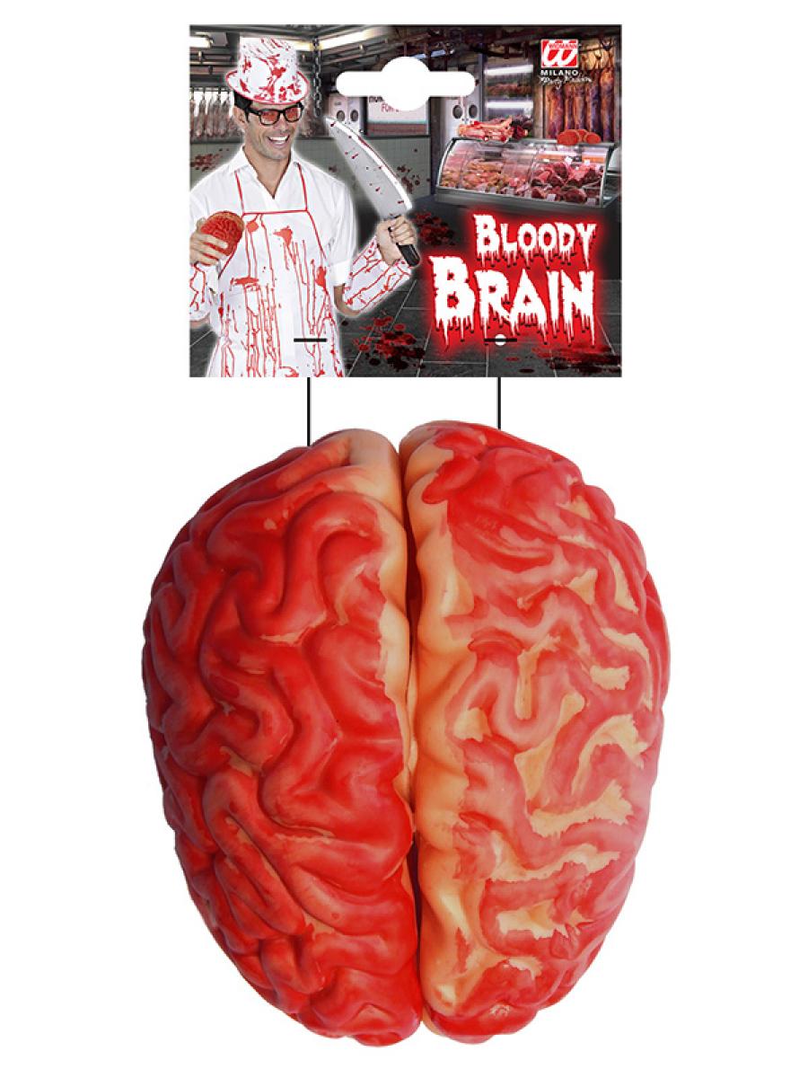 Cerveau en latex
