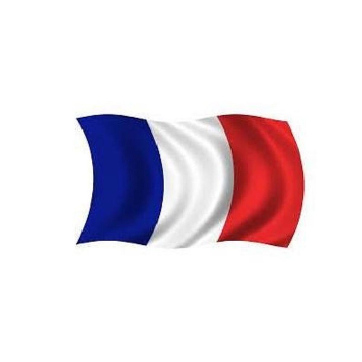 Pavillon France 90x150 cm